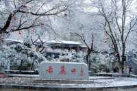 踏雪尋美，這個冬天我在臨洮等你賞雪