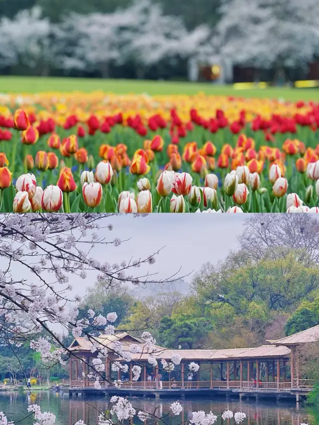 Hangzhou in March and April is warm and picturesque