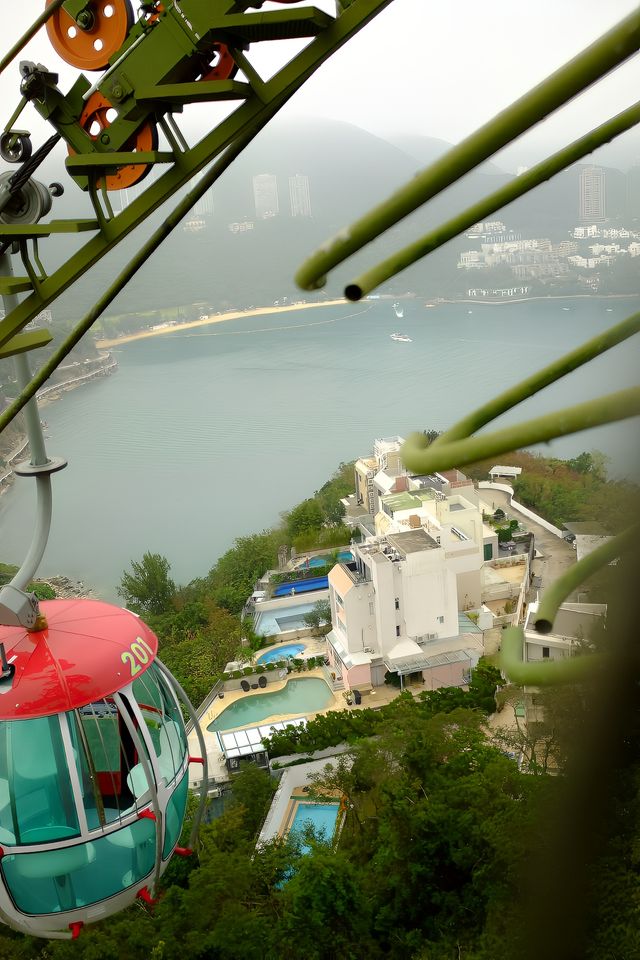不去迪斯尼人擠人，香港海洋公園的性價比就穩贏了