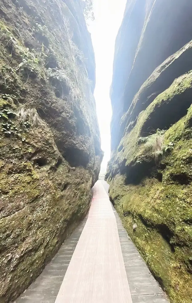 龍虎山遊びの感慨