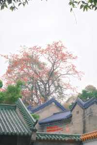 廣深周邊遊東莞旗峰山攻略