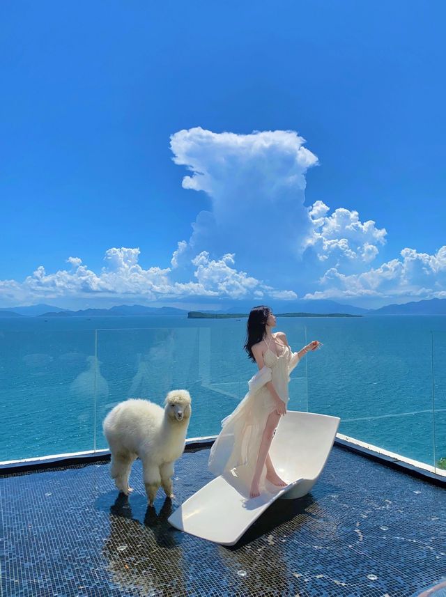 深圳丨天哪！ 泥馬進了我的房間