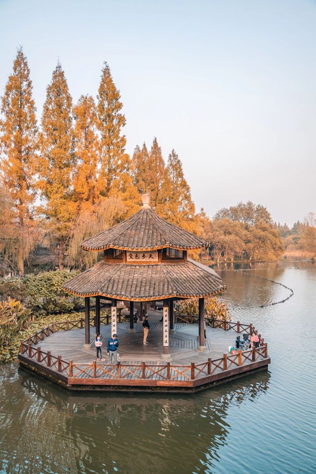 接下來幾個月的杭州，堪稱國內旅行天花板！