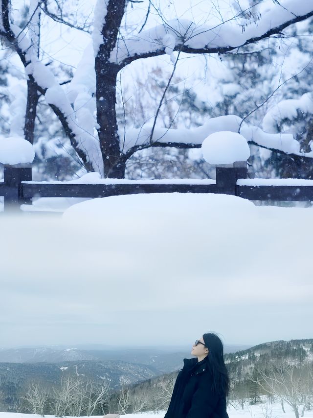 銀碗盛雪，共赴雪後鳳凰山