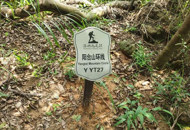 悄悄告訴您！這座山可玩性的太多了，再不來就out了
