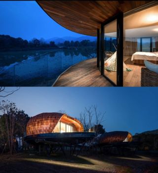 Tree Frog Tribe·Fairy Lake|Sleeping in a Dreamy Tree House Tribe