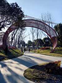 春日來賞花梅陇地區新開免費公園