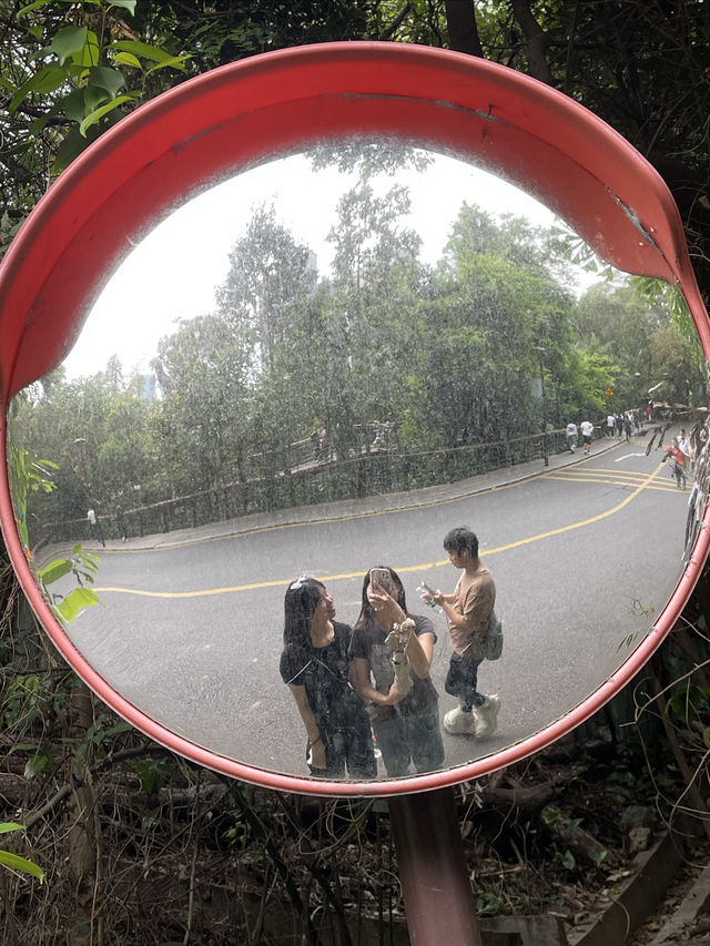 清明節出遊的人潮真是多得驚人！