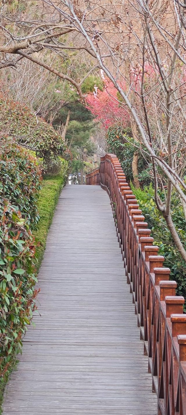 浮山公園越來越美咯
