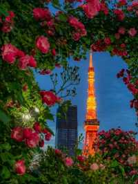 Flowery Tokyo Shiba Park Japan 😍♥️🇯🇵