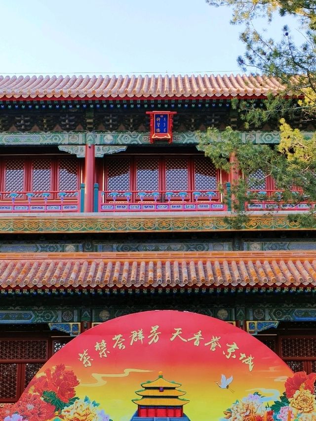 The Colorful Jingshan Park 