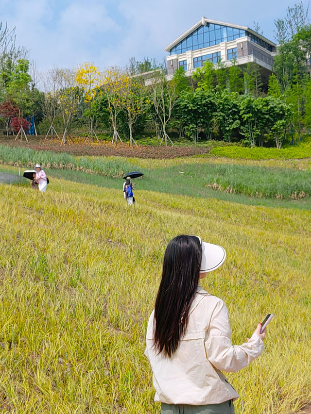 一定不能錯過重慶輕軌直達，夏季清涼徒步