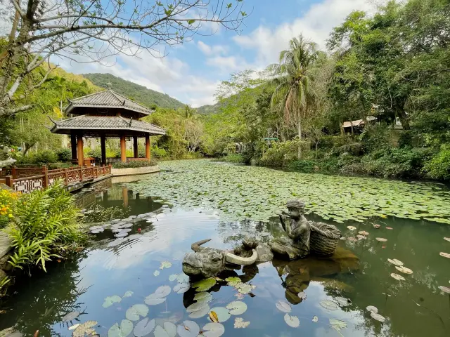 Yalong Bay Tropical Paradise Forest Park