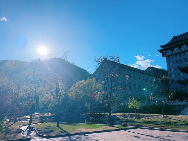 這麼近，那麼美
