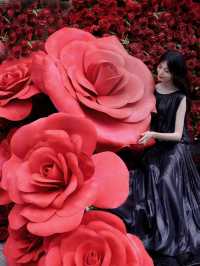 在重慶還是有什麼比返場的玫瑰瀑布浪漫