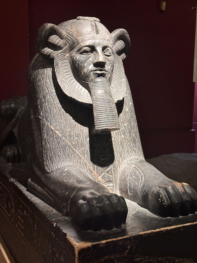 花一天時間打卡開羅金字塔&埃及國家博物館