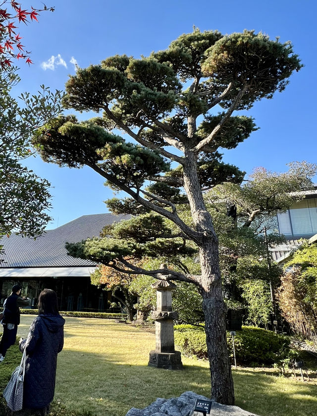 東京根津美術館 Nezu