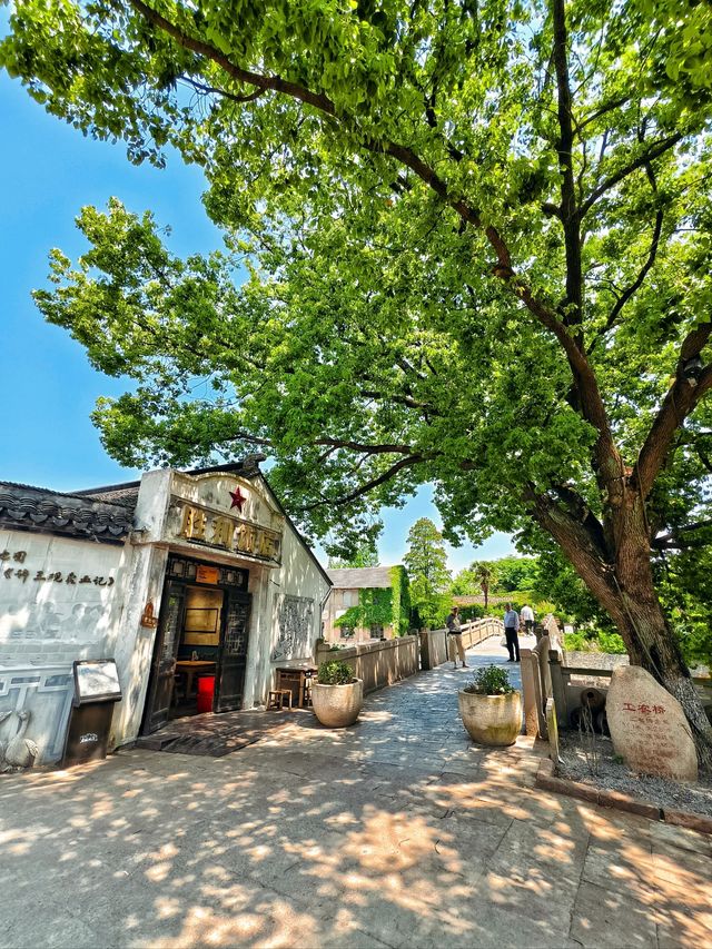 比起烏鎮，嘉興這個免費小眾古鎮更讓我著迷