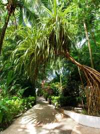 🌴🌊 Costa Rica's Coastal Gem: Makanda by the Sea 🏖️✨