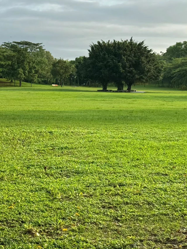 深圳！不要錢！城市中心公園天花板！！