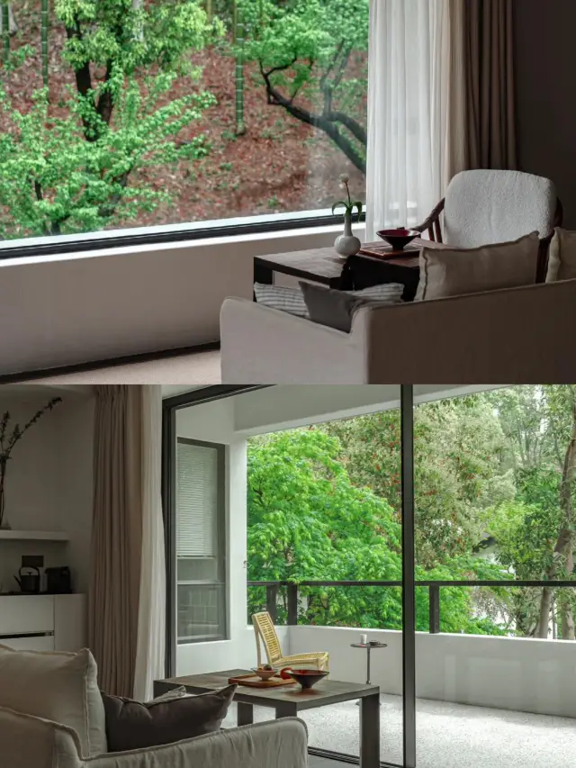 宜興，竹海徒步挖筍飲茶不想走了，強推！