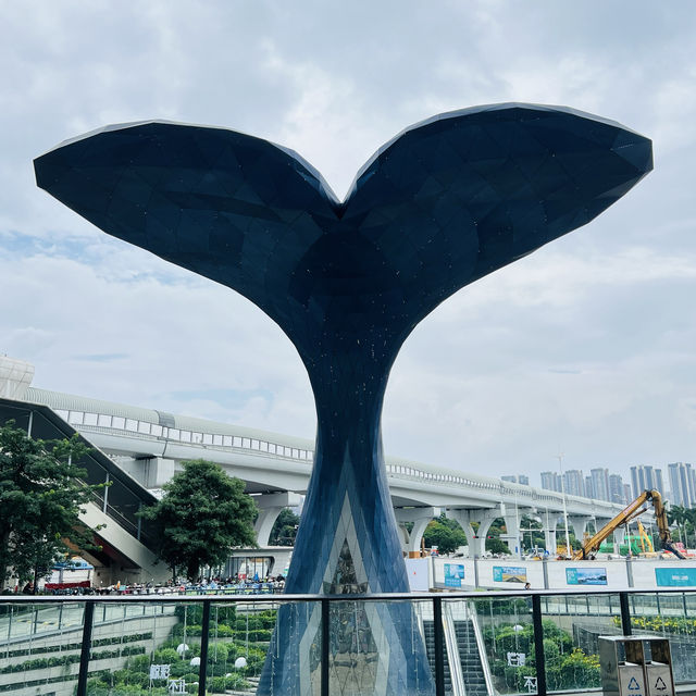逛逛光明藍鯨世界