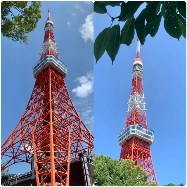 前往日本拍攝東京塔，小眾絕美打卡地