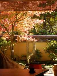 🌸 Hakone's Hidden Gem: Gora Kadan's Luxurious Retreat 🏯✨