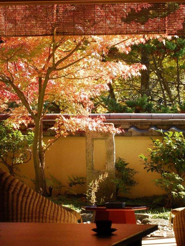 🌸 Hakone's Hidden Gem: Gora Kadan's Luxurious Retreat 🏯✨