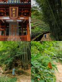 杭州｜径山禅茶二天一夜自駕玩水親子遊