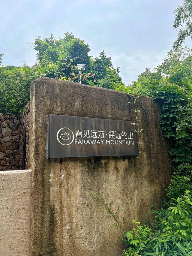 第一次來莫干山，雨天在山裡大口吸氧