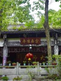 暑期近郊親子徒步寶藏地 | 跑馬嶺避暑納涼，好愜意