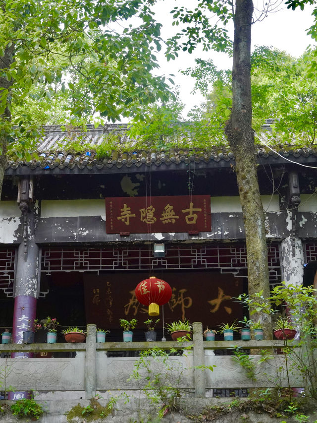 暑期近郊親子徒步寶藏地 | 跑馬嶺避暑納涼，好愜意