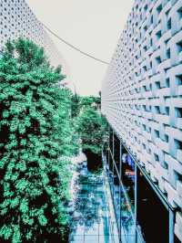 6月去東京吧｜富人區裡的網紅書店