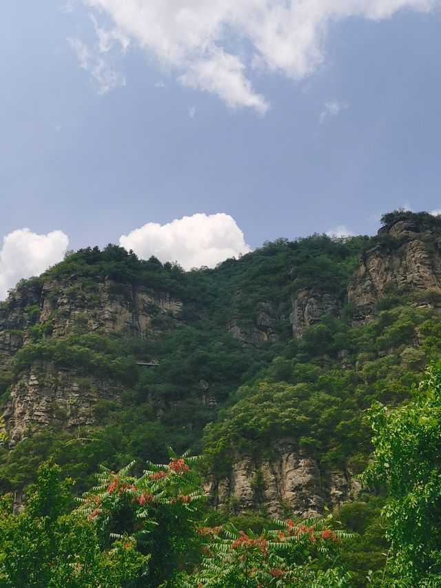 麟山探秘｜巔山千佛朝如來