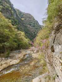 鄂西北的“九寨溝”--鄖西五龍河