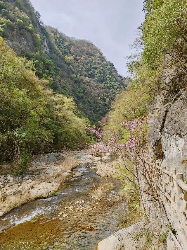 鄂西北的“九寨溝”--鄖西五龍河