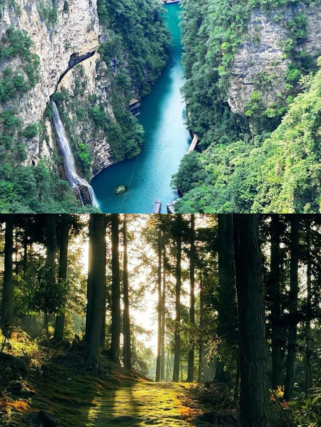張家界 3 天 2 夜超詳細旅遊攻略