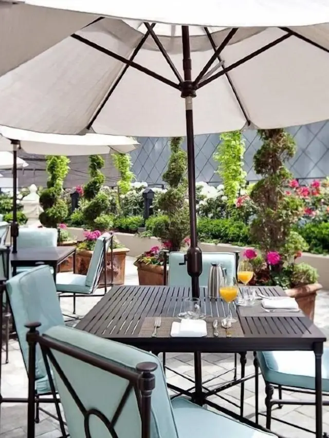 🏨✨ Vancouver's Finest: L'Hermitage Hotel Highlights 🌟