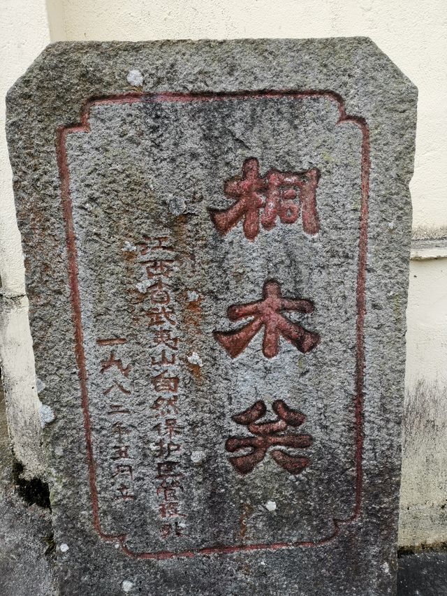 桐木關