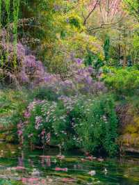 豐澤植物園，解鎖自然與文藝的完美邂逅