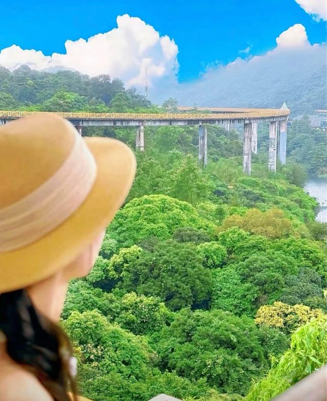 人生建議:一定要坐一次森林小火車
