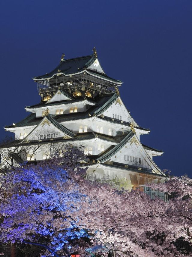 🌃✨ Unveiling Osaka's Dazzling Nighttime Gems 🎡🏯