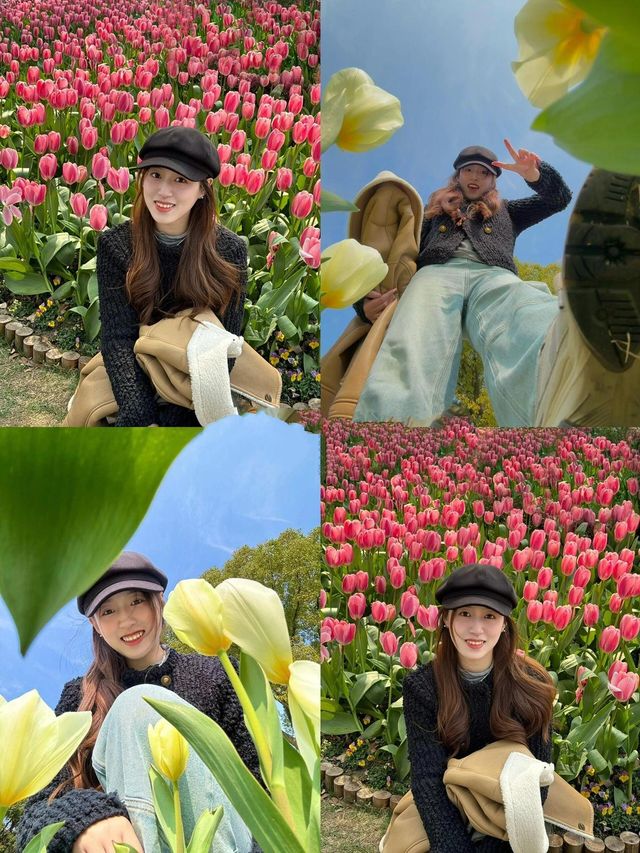 寧波日湖公園的鬱金香