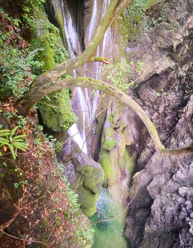 集游泳、漂流、攀岩、跳水等於一體，三峽奇潭成戶外頂流
