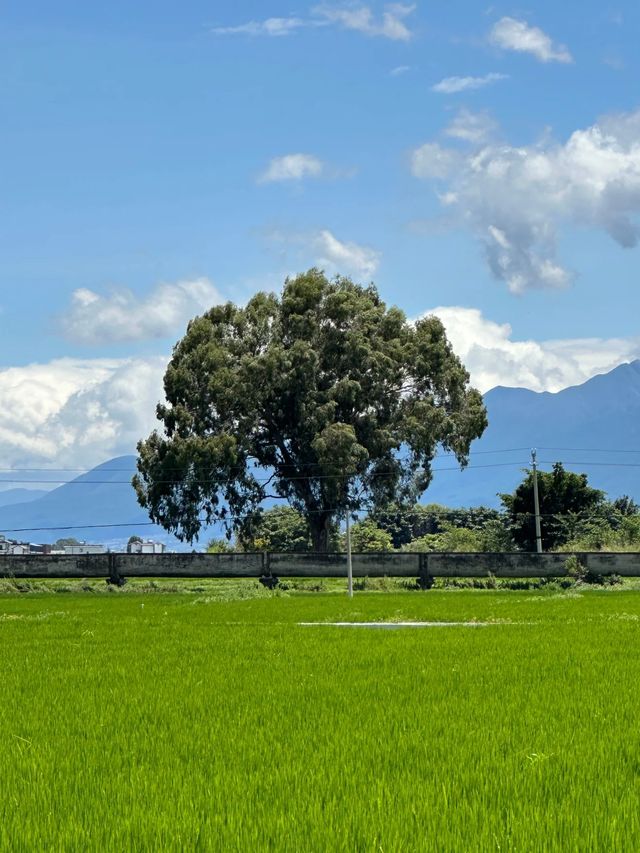 雲南大理旅居