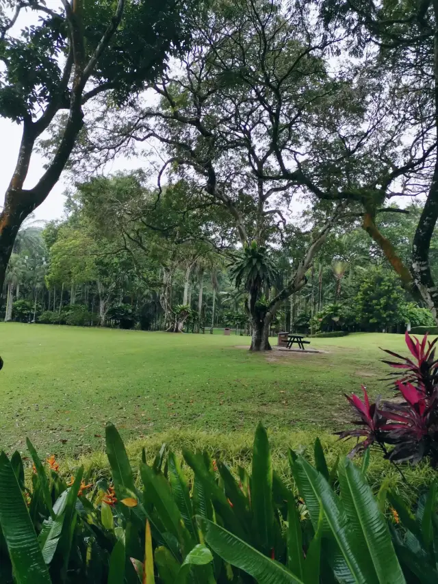 ผ่อนคลาย: เช็คอินที่สวนริมทะเลสาบยอดนิยมของกรุงกัวลาลัมเปอร์