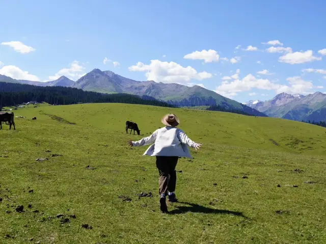 Xinjiang Grassland 🌿 and Lavender Hillside 🪻at Qiongkushitai