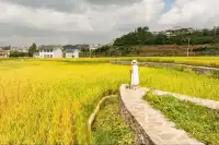 國慶反向遊！人少景美的寶藏祕境，太可了。