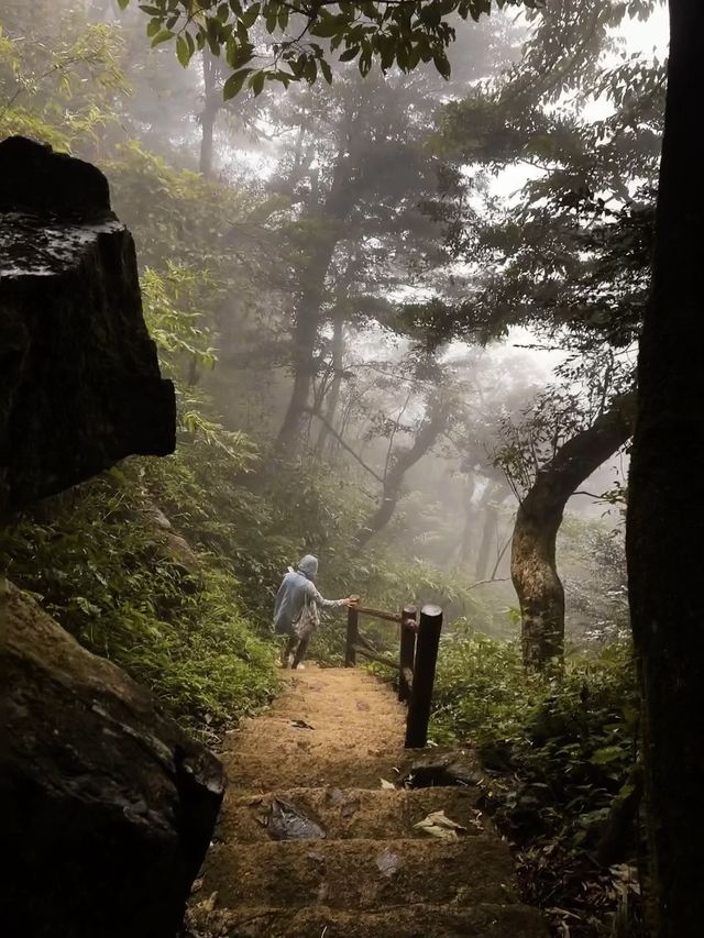 在上班和上進之間！我選擇上山。